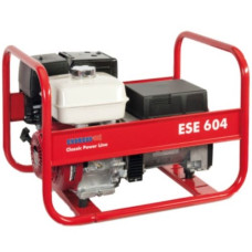 Бензиновый генератор ENDRESS ESE 604HS