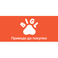 Бензиновый генератор Протон БГ-3000