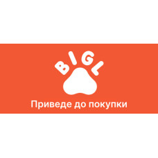 Бензиновый генератор Протон БГ-3000