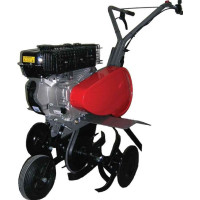 Культиватор бензиновый PUBERT COMPAKT 55LC