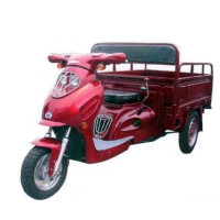 Вантажний мотоцикл Europard Foton FT 110 ZY Europard FT 110 ZY