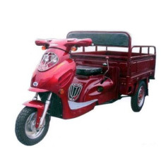 Грузовой мотоцикл Europard Foton FT 110 ZY Грузовой мотоцикл Europard Foton FT 110 ZY