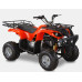 Квадроцикл Spark SP150-2