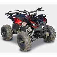 Квадроцикл Spark LZ110-4 Квадроцикл Spark LZ110-4