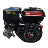 Двигатель газ/бензин с редуктором 2:1 и муфтой сцепления Edon PT-210 (GR)