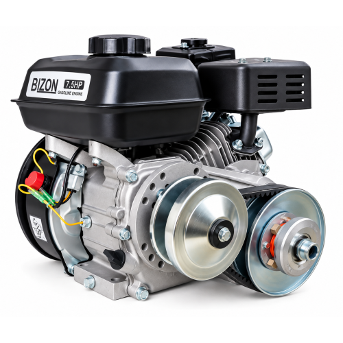 Двигатель с вариатором Bizon BS170F-S(V)