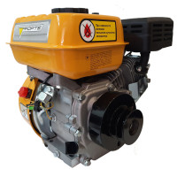 Двигатель с центробежным сцеплением Forte F-200G