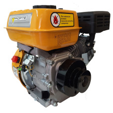 Двигатель с центробежным сцеплением Forte F-200G