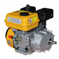 Двигун з редуктором і варіатором Forte F210GRO