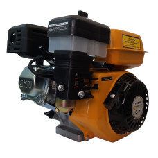 Двигатель бензиновый Forte F210GT-25