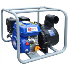 Мотопомпа для химических жидкостей Odwerk GPС 80 Мотопомпа для химических жидкостей Odwerk GPС 80