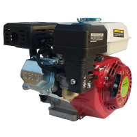 Двигун бензиновий Vorskla ПМЗ 196/20